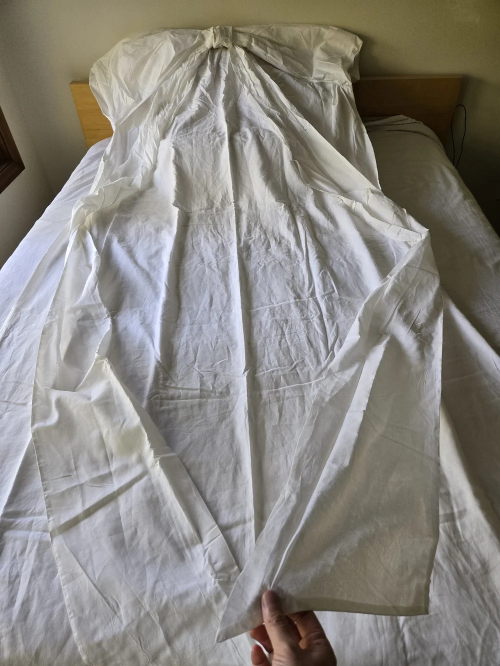 Pottery Barn Teen LoveShackFancy Oversized Bow Curtain Ivory 52” x 96” One Panel